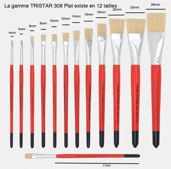 Pinceau scolaire Tri Star 308 Plat - 12 tailles