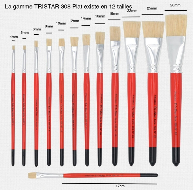 Pinceau scolaire Tri Star 308 Plat - 12 tailles