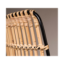 Canne de rotin naturelle