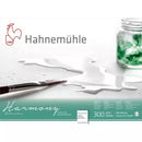 Papier Aquarelle Harmony Grain Satin, 300g/m²