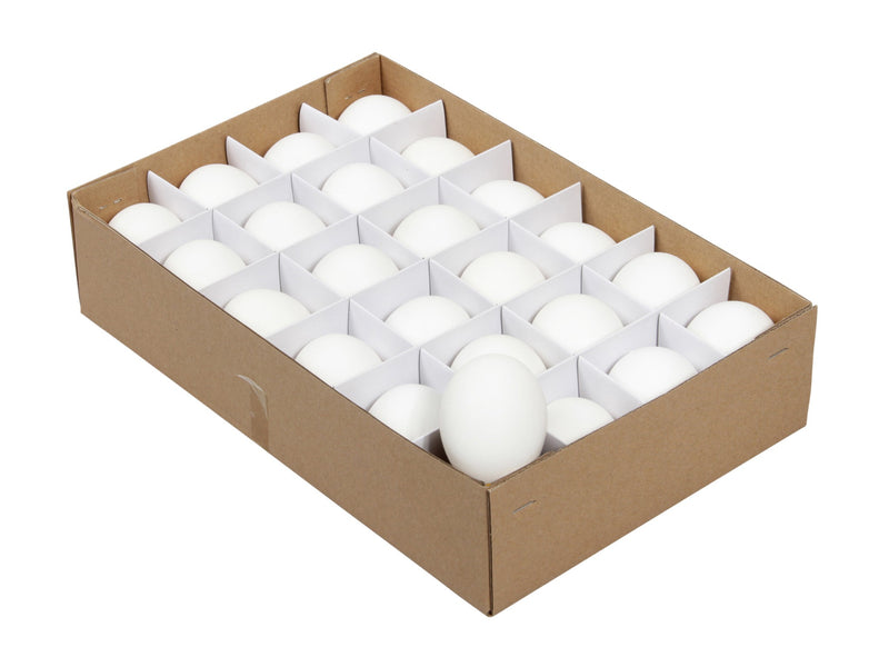 Véritables oeufs de poules vides blancs - Boîte de 24