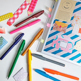 Feutres sign pen 2mm