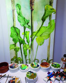 Peinture à l'huile à l'eau COBRA 40 ml