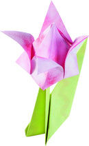 Papier de pliage thème Fleurs 170 feuilles