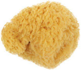 Eponge naturelle Corect'Art diamètre 10 ou 13 cm