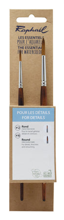 Pochette green 2 pinceaux pour détails