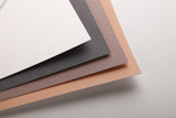 Bloc Pastelmat n°2 -12 feuilles 360 gr