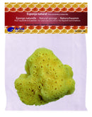 Eponges naturelles pour artiste