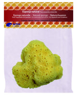 Eponges naturelles pour artiste