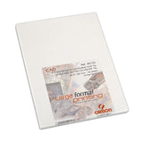 Film polyester mat - 75 microns