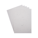 Pochette 5 feuilles assorties papier A4 ensemencé 4 graines