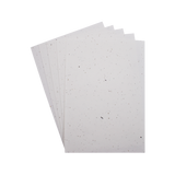 Pochette 5 feuilles assorties papier A4 ensemencé 4 graines