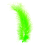 Plumes Marabout 2gr