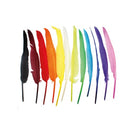 Plumes d'Indiens (x 12)