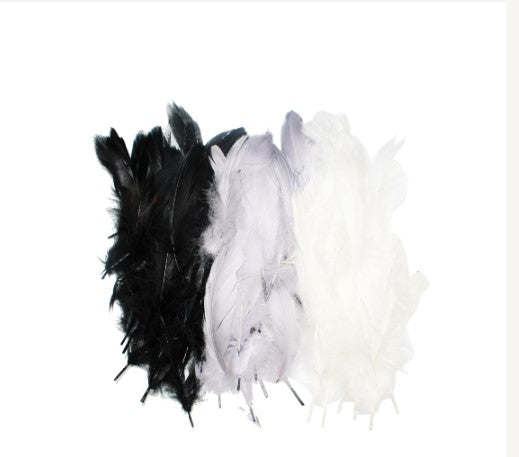 Assortiment plumes d'oie blanc/gris/noir (x130)