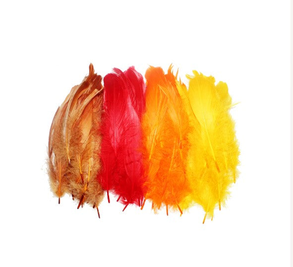 Assortiment plumes d'oie "Automne" (x130)