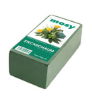 Bloc de mousse florale verte 20 x 10 x 7.5 cm