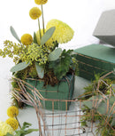 Bloc de mousse florale verte 20 x 10 x 7.5 cm