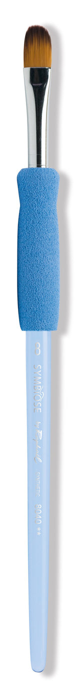 Pinceau Symbiose 8040 usé bombé